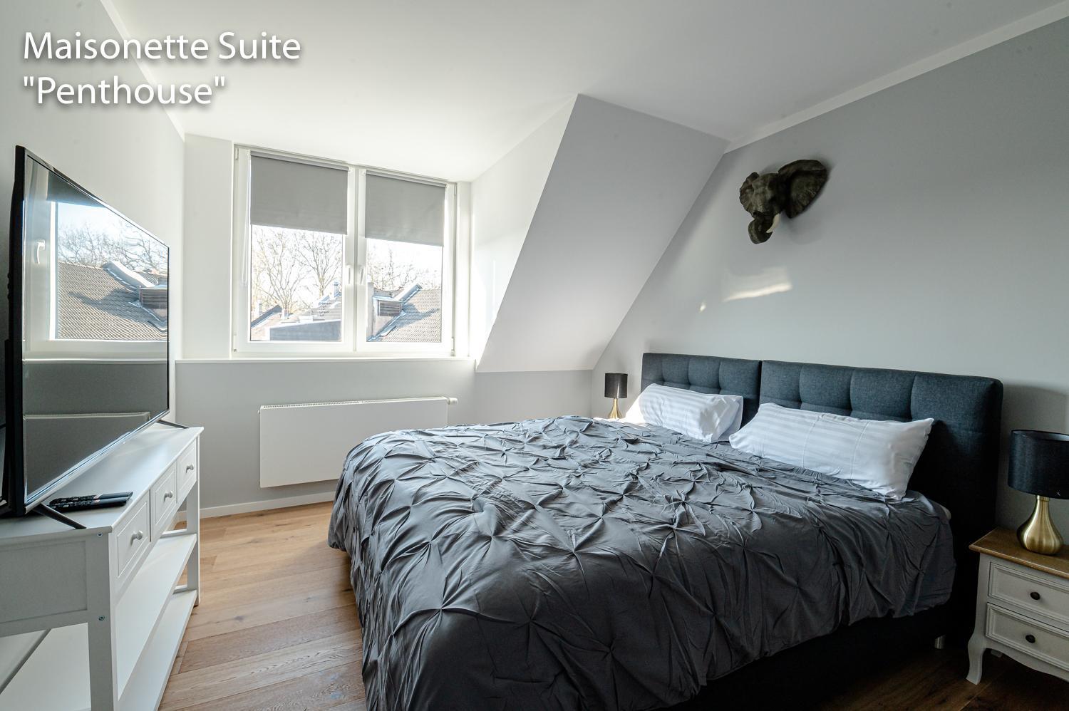 Downtown Bilk Apartment *