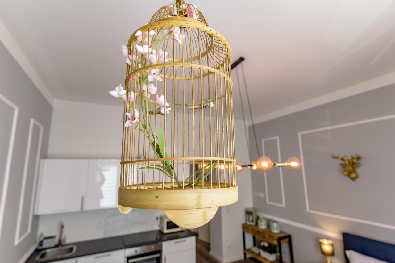 Downtown Bilk Apartment